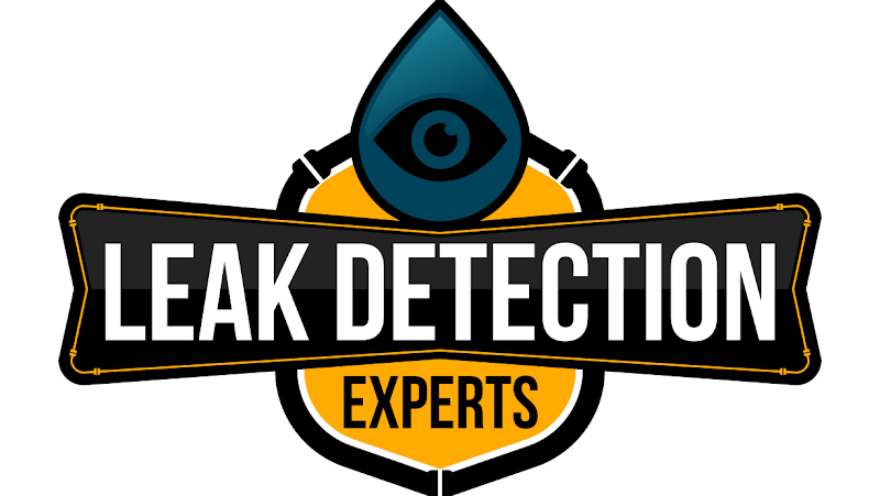 $0 Call-Out Fee - The Leak Detection Experts