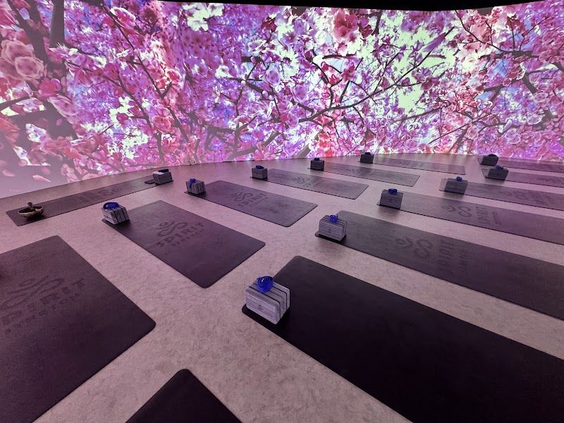 Perfect 5.0 with 153 Reviews - Spirit Stretch Immersive Yoga